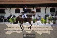 ref. photo 3660504