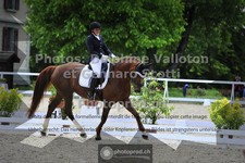 ref. photo 3660518