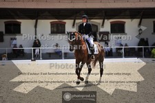 ref. photo 3660521