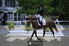 ref. photo 3660528