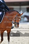 ref. photo 3660533