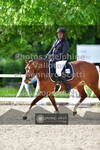 ref. photo 3660541