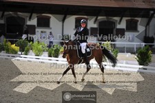 ref. photo 3660545