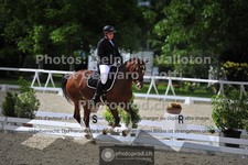 ref. photo 3660553