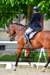 ref. photo 3660604