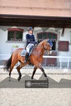 ref. photo 3660608