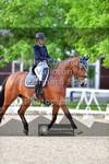 ref. photo 3660609