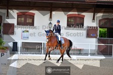 ref. photo 3660611