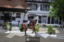 ref. photo 3660634