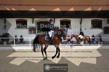 ref. photo 3660652