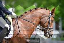 ref. photo 3660676