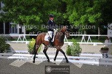 ref. photo 3660695