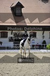 ref. photo 3660713