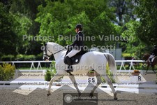 ref. photo 3660717
