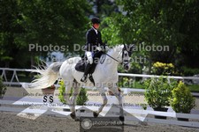 ref. photo 3660723