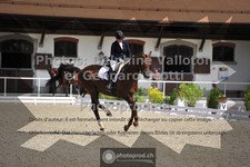 ref. photo 3660739