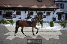 ref. photo 3660758