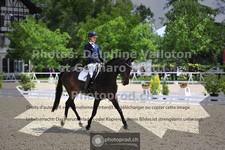 ref. photo 3660795
