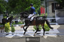 ref. photo 3660806