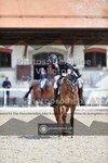 ref. photo 3660830