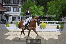 ref. photo 3660838