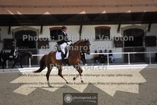 ref. photo 3660851