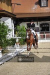 ref. photo 3660866