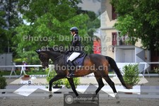 ref. photo 3660884