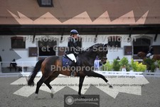 ref. photo 3660891