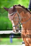ref. photo 3660930