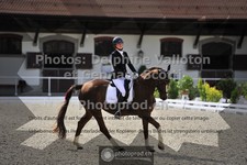 ref. photo 3660950