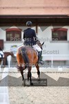 ref. photo 3661005