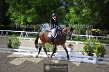 ref. photo 3661037