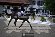 ref. photo 3661049