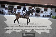 ref. photo 3661051