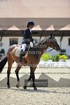ref. photo 3661075