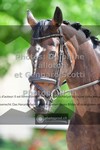ref. photo 3661093