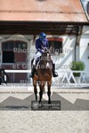 ref. photo 3661094