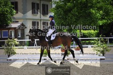 ref. photo 3661113