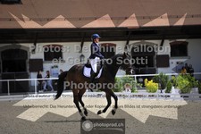 ref. photo 3661126