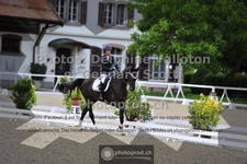 ref. photo 3661246