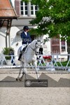 ref. photo 3661276