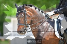 ref. photo 3661330