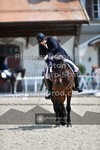 ref. photo 3661344