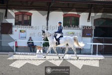 ref. photo 3661351