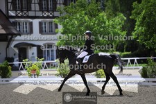 ref. photo 3661446