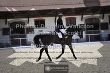 ref. photo 3661448