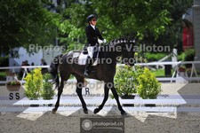 ref. photo 3661452