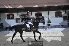 ref. photo 3661457