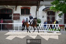ref. photo 3661481